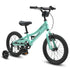 Progear DuraLite Kids Bike 16" - Mint | Outdoorium