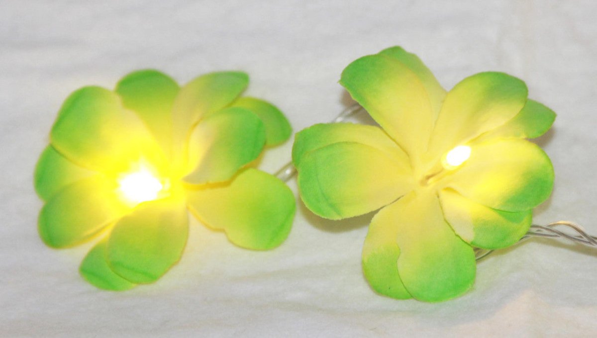 Set of 20 LED Green Frangipani Flower String Lights - Perfect for Christmas, Wedding & Outdoor Decorations - Outdoorium