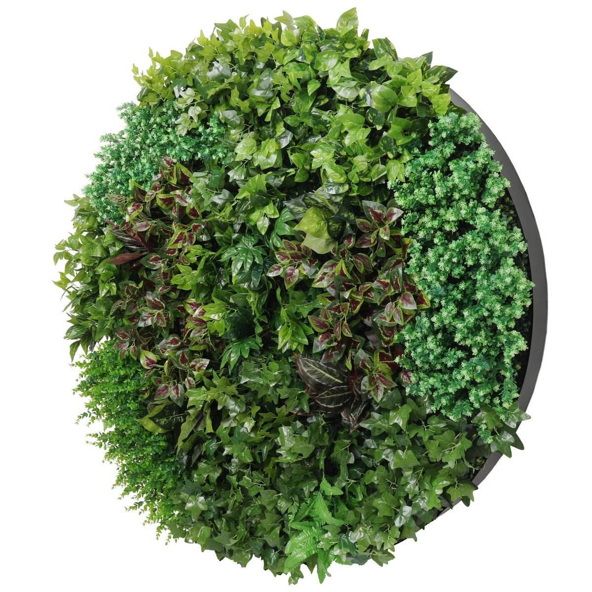 Artificial Green Wall Disk Art 150cm - Dense Green Sensation - Black Frame | Outdoorium
