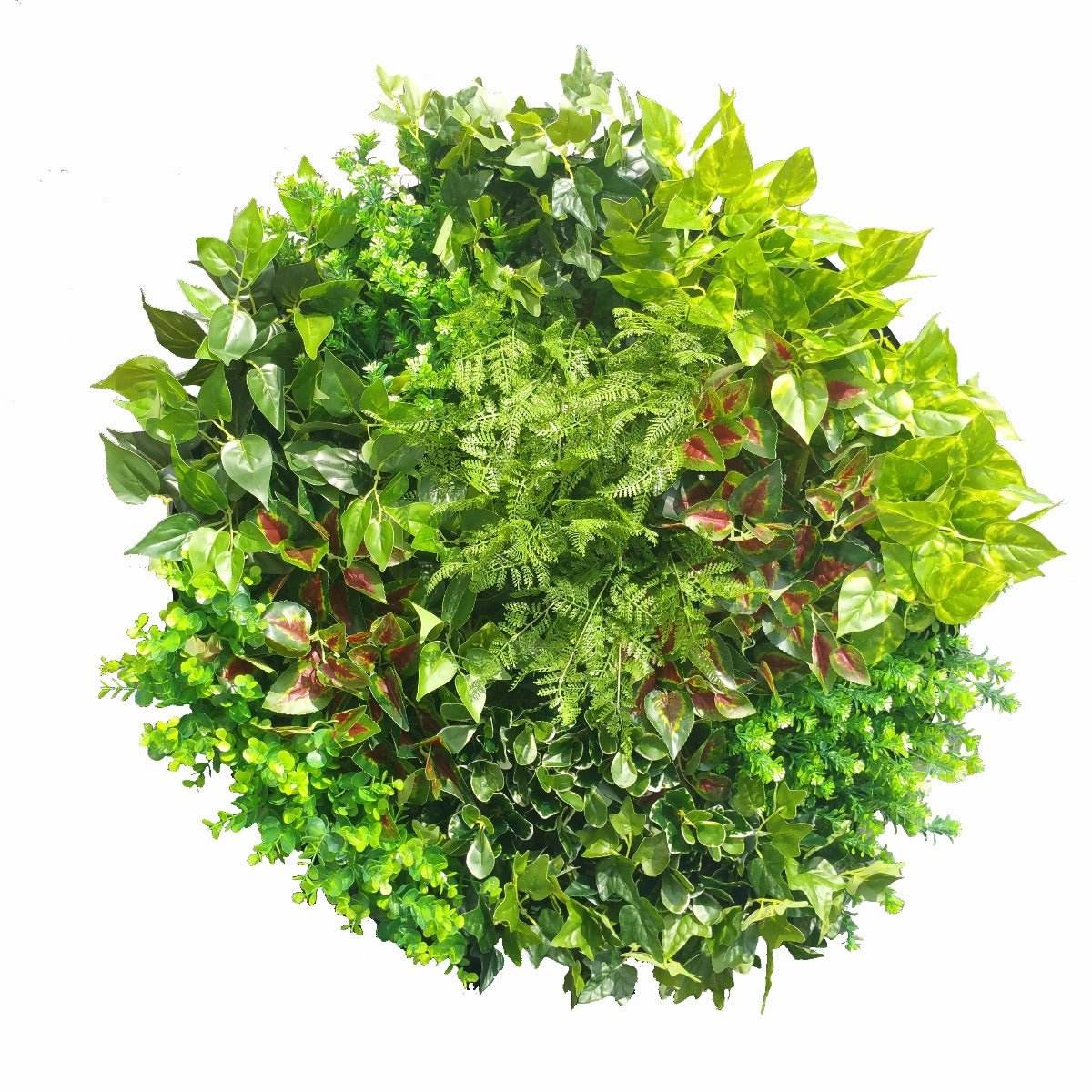 Artificial Green Wall Disk Art 80cm - Mixed Fern | Outdoorium