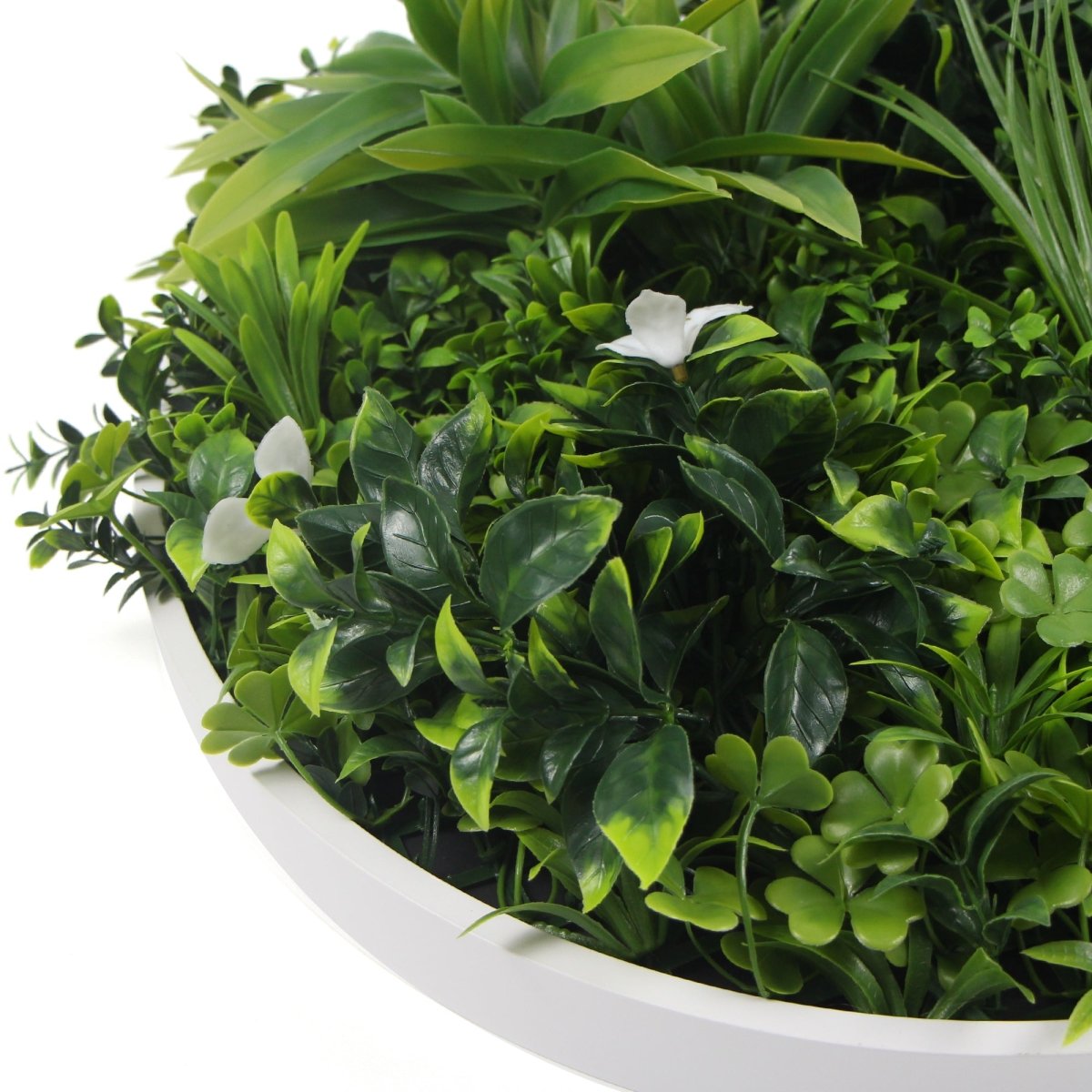 Flowering White Artificial Green Wall Disc UV Resistant 75cm (White Frame) - Outdoorium