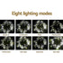 100M Christmas Lights String Fairy Light 500 LED Cool White Jingle Jollys | Outdoorium