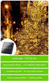 20m 200 LED Solar Powered Outdoor Lights with 8 Lighting Modes and Waterproof for Home,Garden and Decoration | Outdoorium