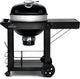 Napoleon Professional 22 Charcoal Kettle with Cart