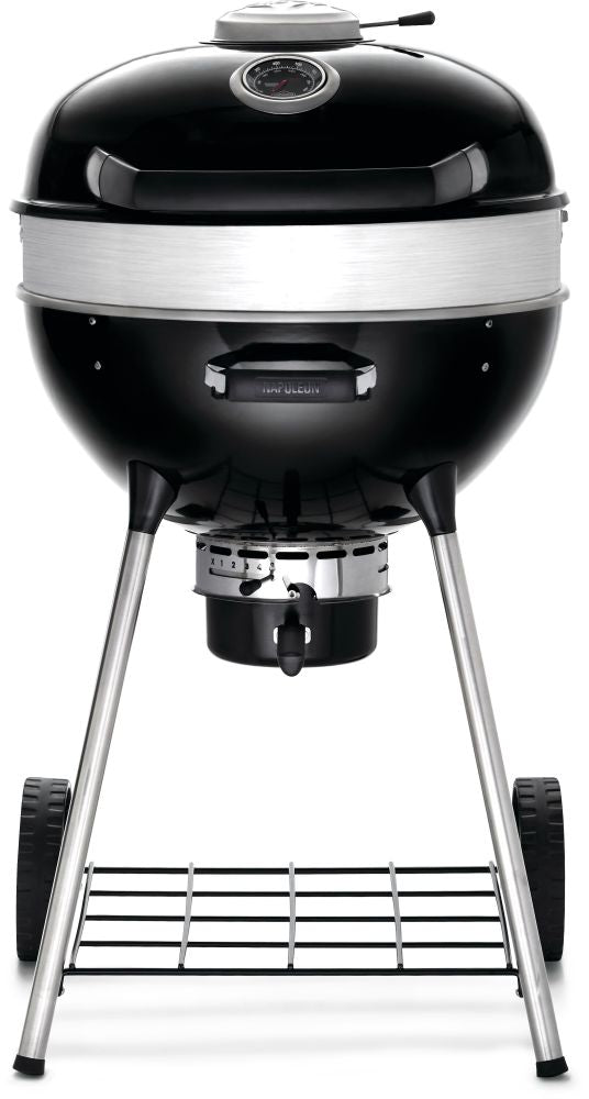 Napoleon Professional 22 Charcoal