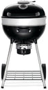 Napoleon Professional 22 Charcoal