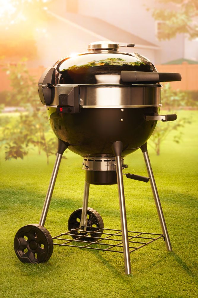 Napoleon Professional 22 Charcoal