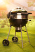 Napoleon Professional 22 Charcoal