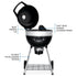 Napoleon Professional 22 Charcoal