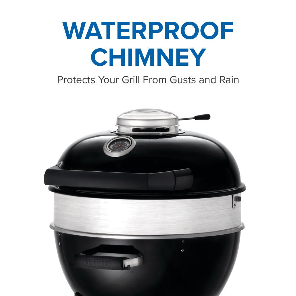 Napoleon Professional 22 Charcoal