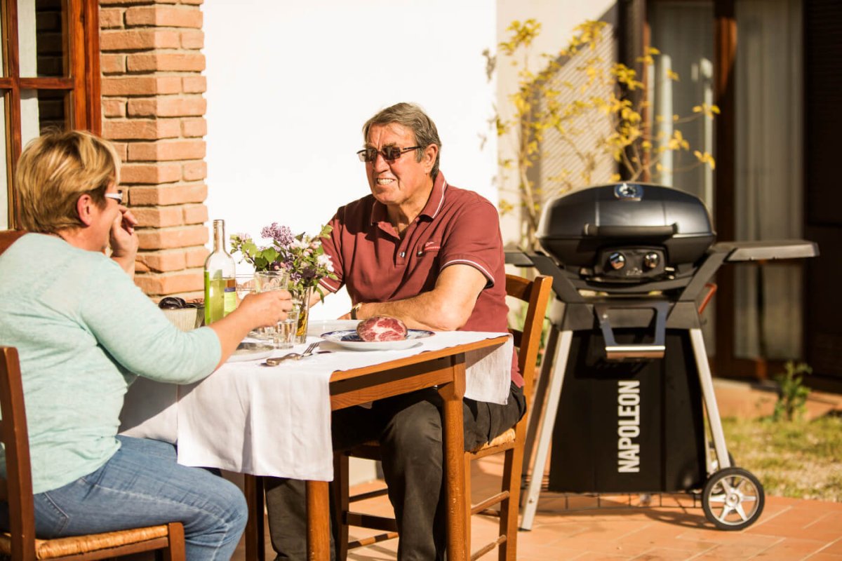 Napoleon TravelQ PRO285 Portable Gas Grill