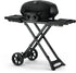 Napoleon Phantom TravelQ PRO 285 Portable Gas Grill