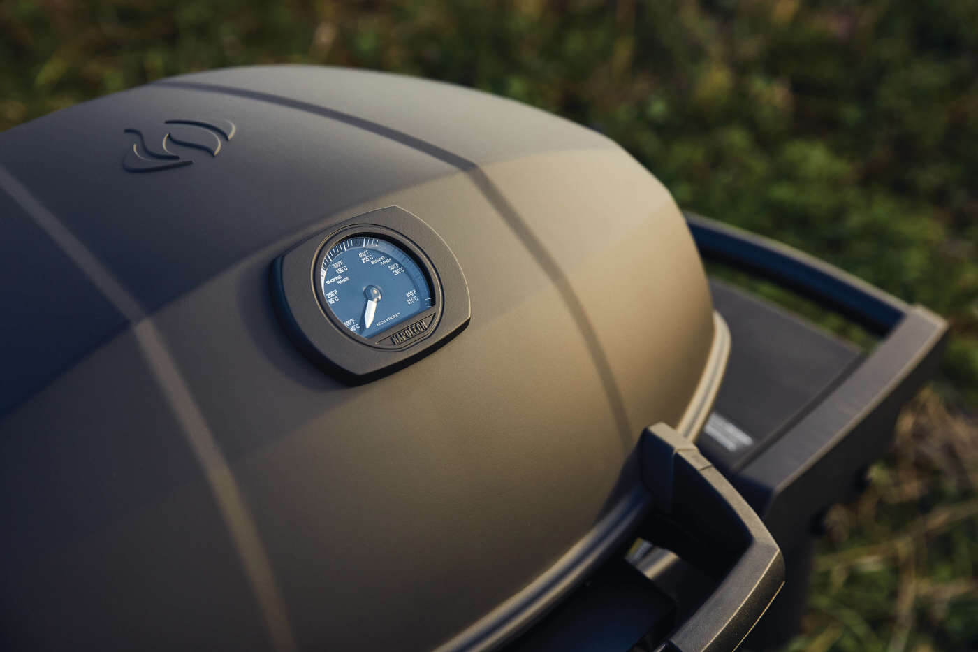 Napoleon Phantom TravelQ PRO 285 Portable Gas Grill