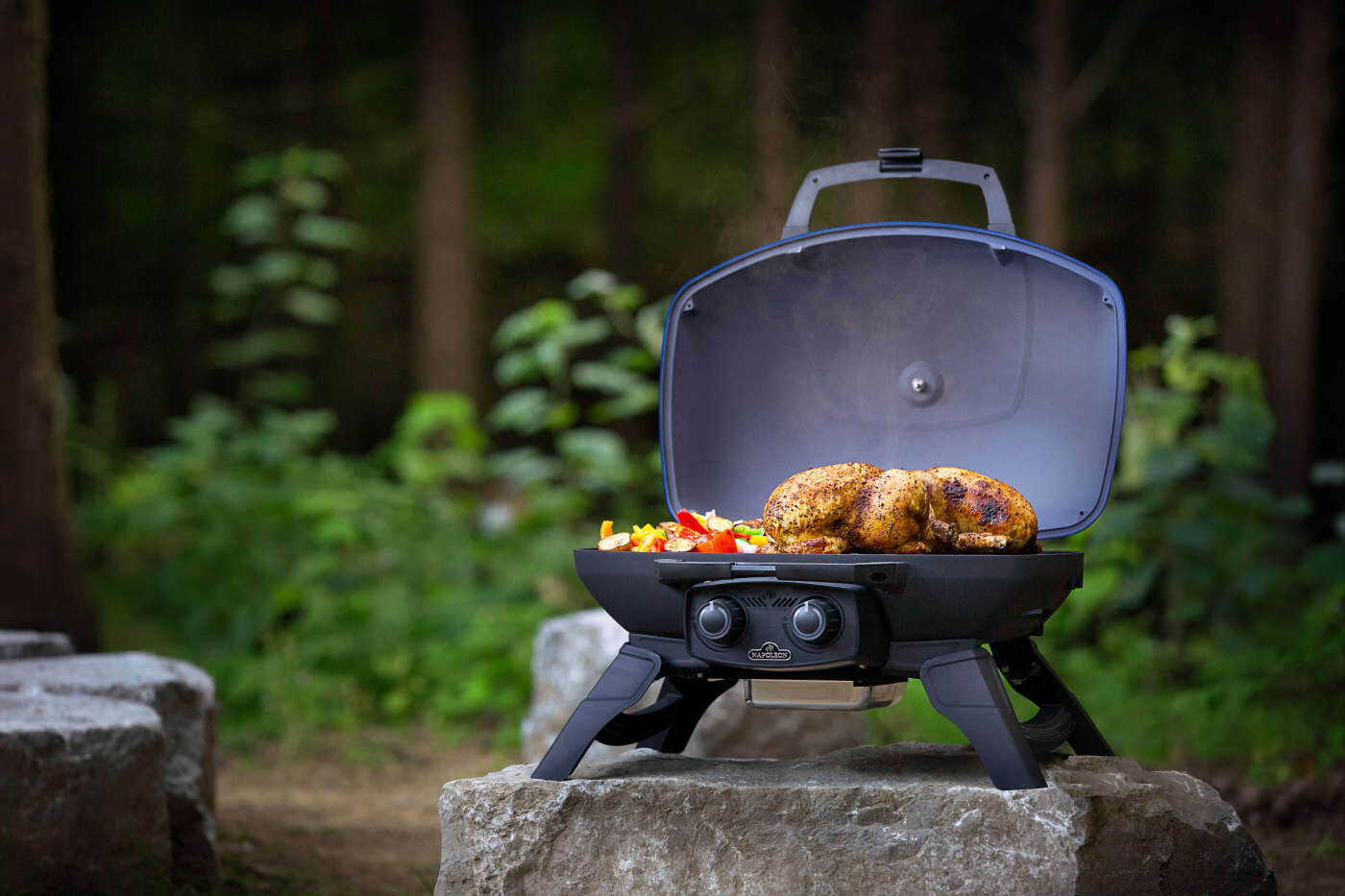 Napoleon TravelQ 285 Portable Gas Grill
