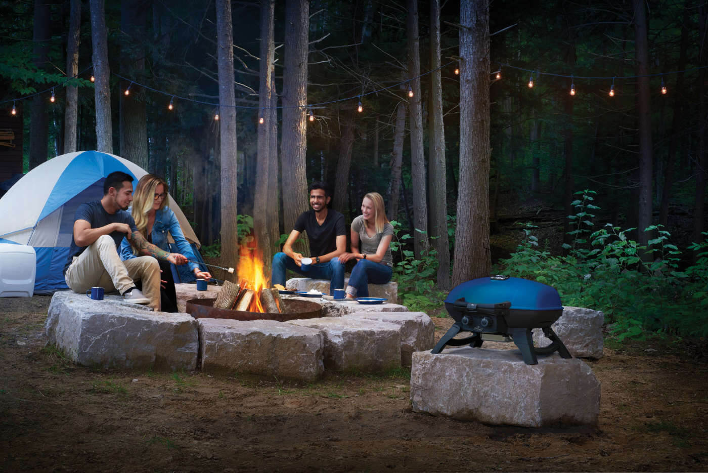 Napoleon TravelQ 285 Portable Gas Grill
