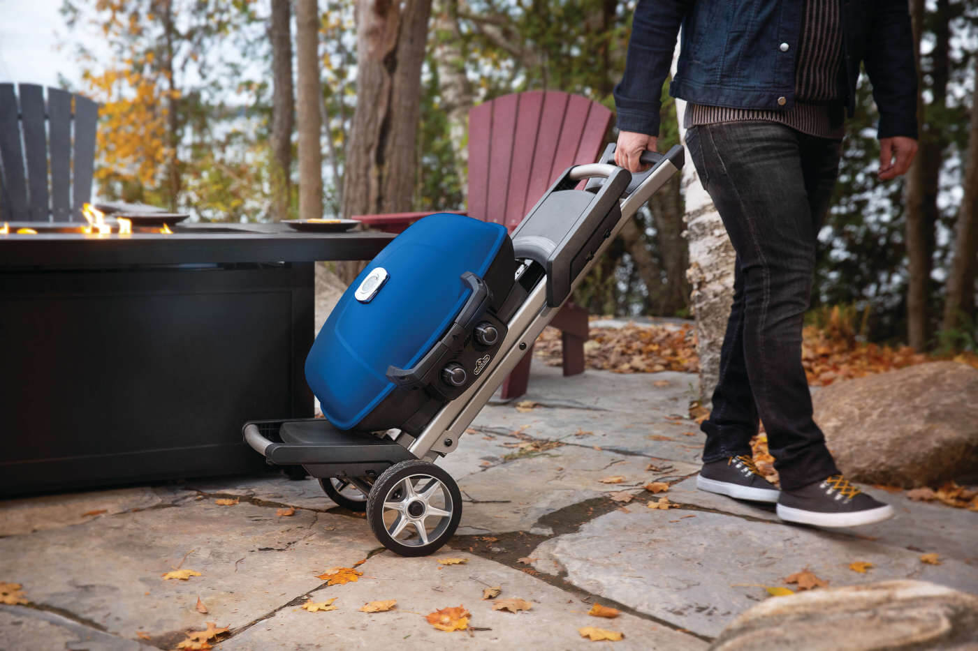 Napoleon TravelQ 285X Portable Gas Grill