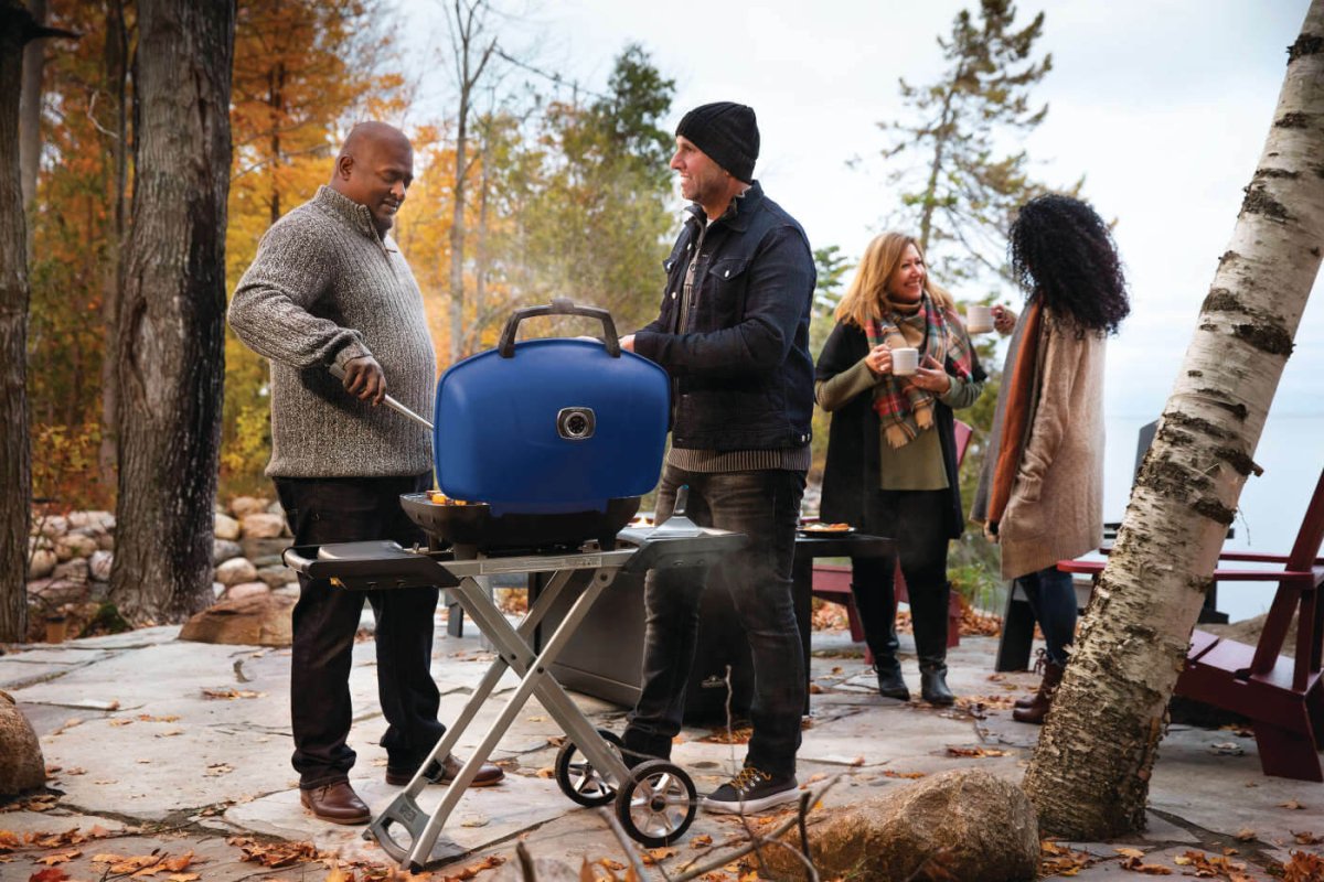 Napoleon TravelQ 285X Portable Gas Grill