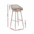 Gardeon 4-Piece Outdoor Bar Stools Plastic Metal Dining Chair Furniture Coffee | Furniture > Bar Stools & Chairs > Table & Bar Stools
