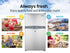 GECKO 95L Portable Upright Fridge, 12V/24V for Motorhome, Caravan, Silver | Outdoorium