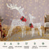 2 PCS Christmas Lights 170 LED Fairy Light Reindeer Decorations Jingle Jollys | Outdoorium