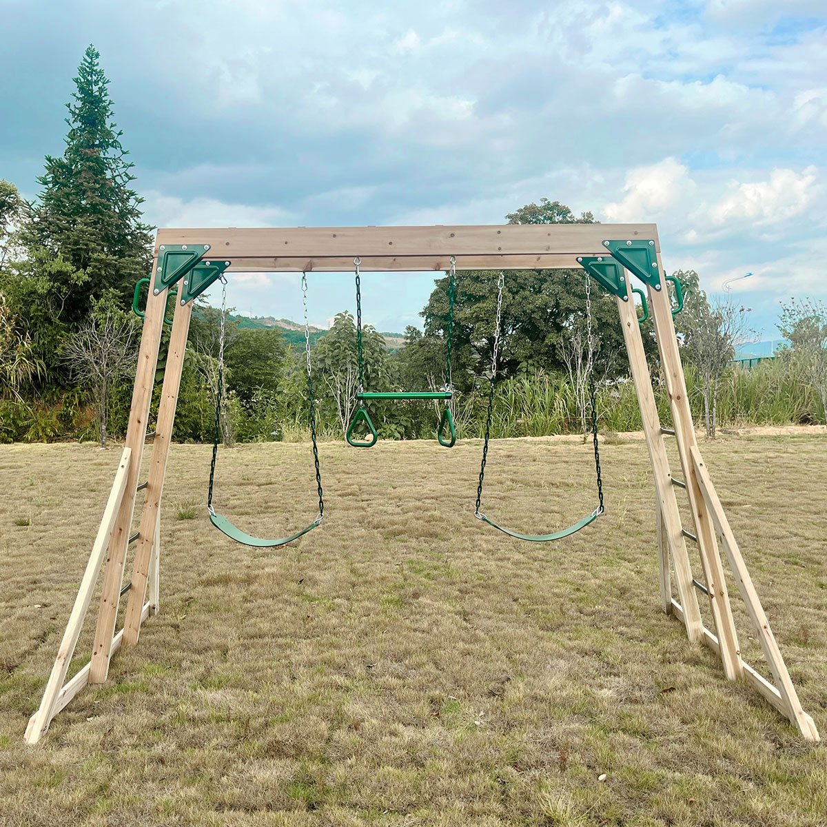 Lifespan Kids Daintree 2 - in - 1 Monkey Bars &amp; Swing Set - Outdoorium