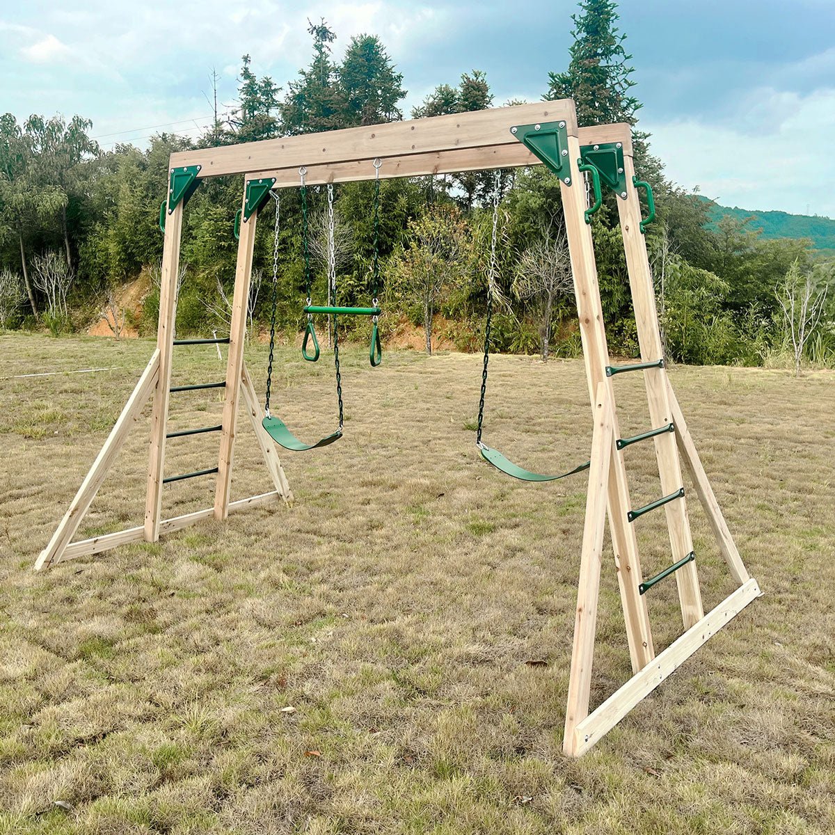 Lifespan Kids Daintree 2 - in - 1 Monkey Bars &amp; Swing Set - Outdoorium