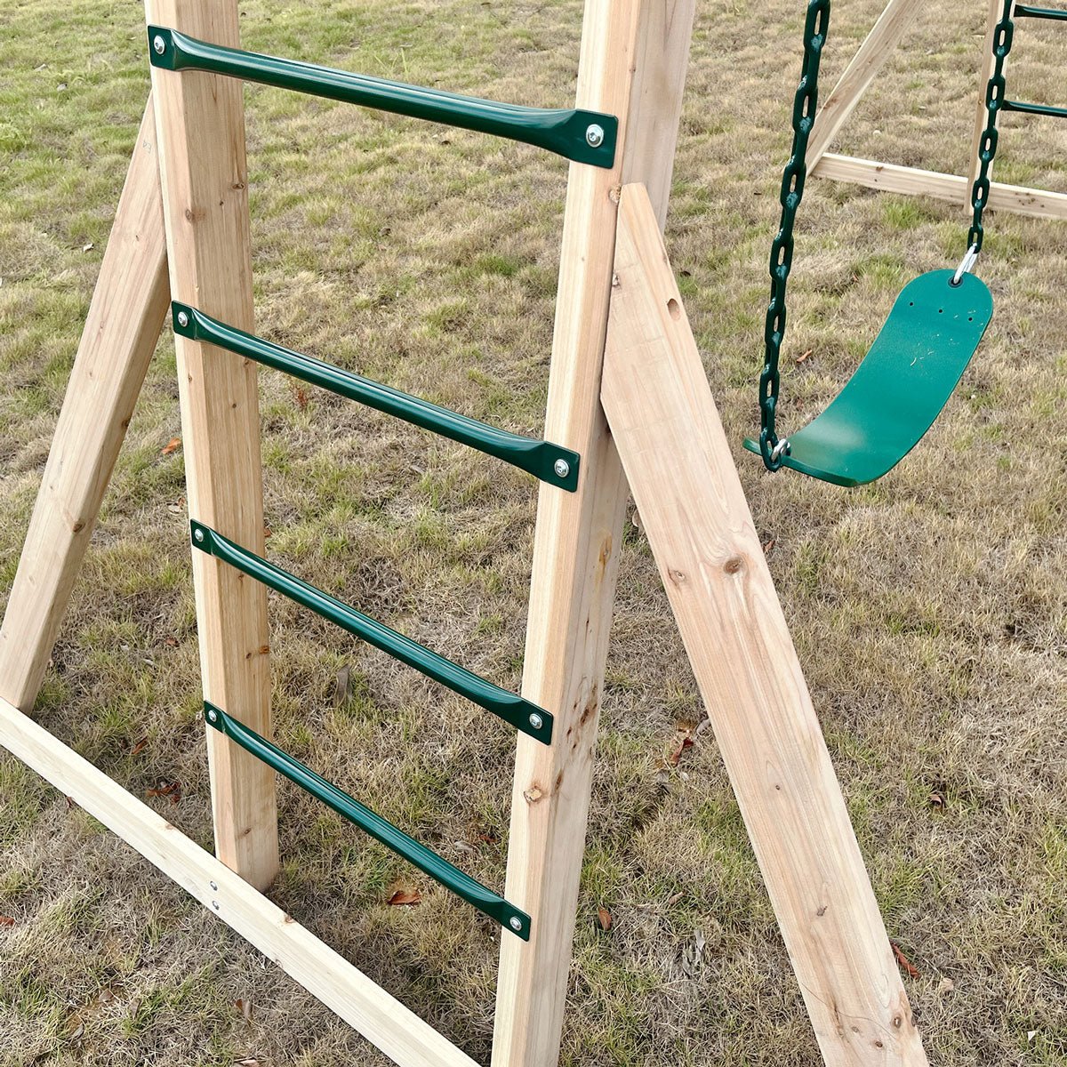 Lifespan Kids Daintree 2 - in - 1 Monkey Bars &amp; Swing Set - Outdoorium