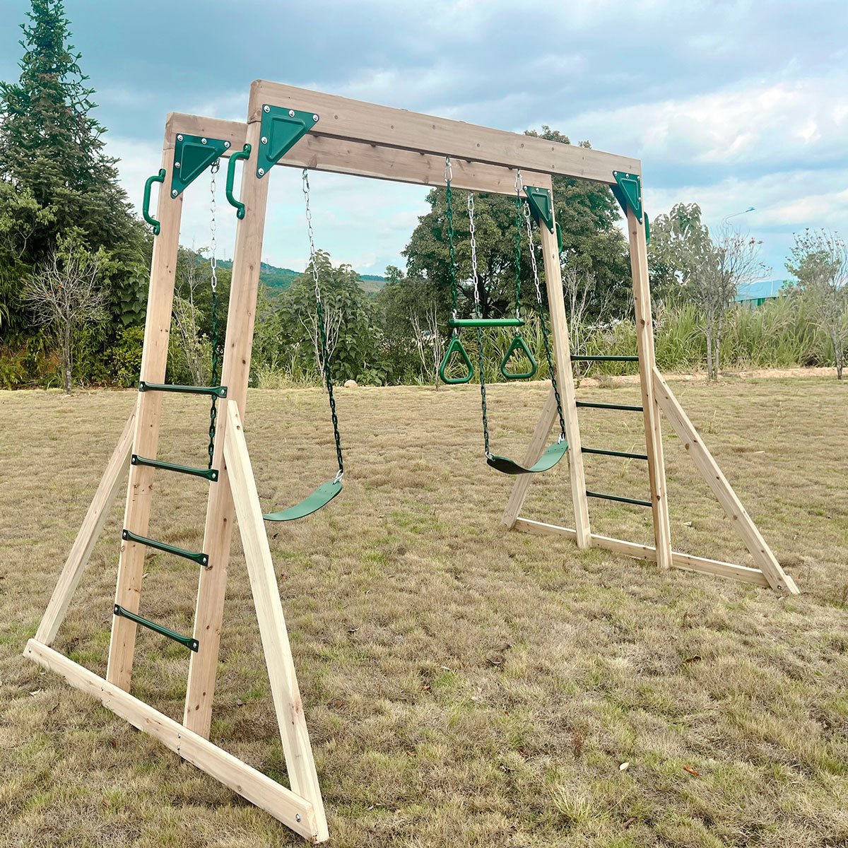 Lifespan Kids Daintree 2 - in - 1 Monkey Bars &amp; Swing Set - Outdoorium