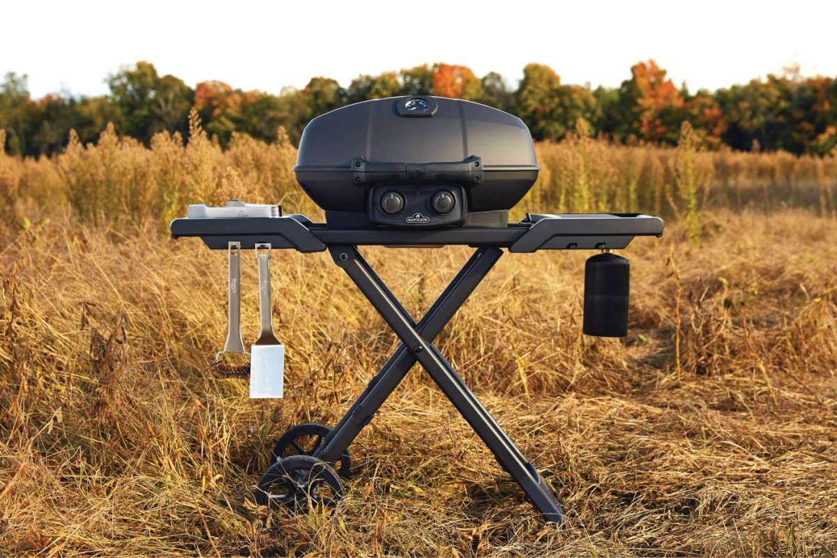 Napoleon Phantom TravelQ PRO 285 Portable Gas Grill | Portable BBQ