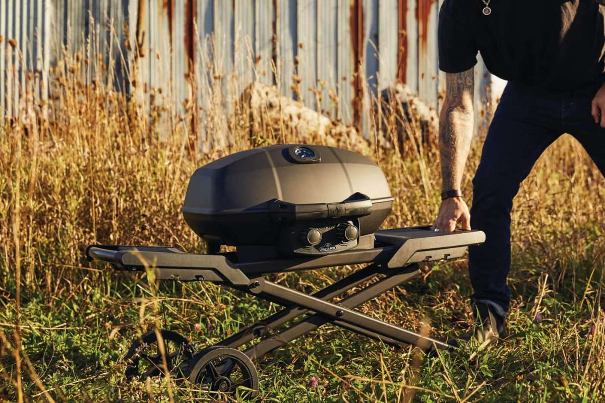 Napoleon Phantom TravelQ PRO 285 Portable Gas Grill | Portable BBQ