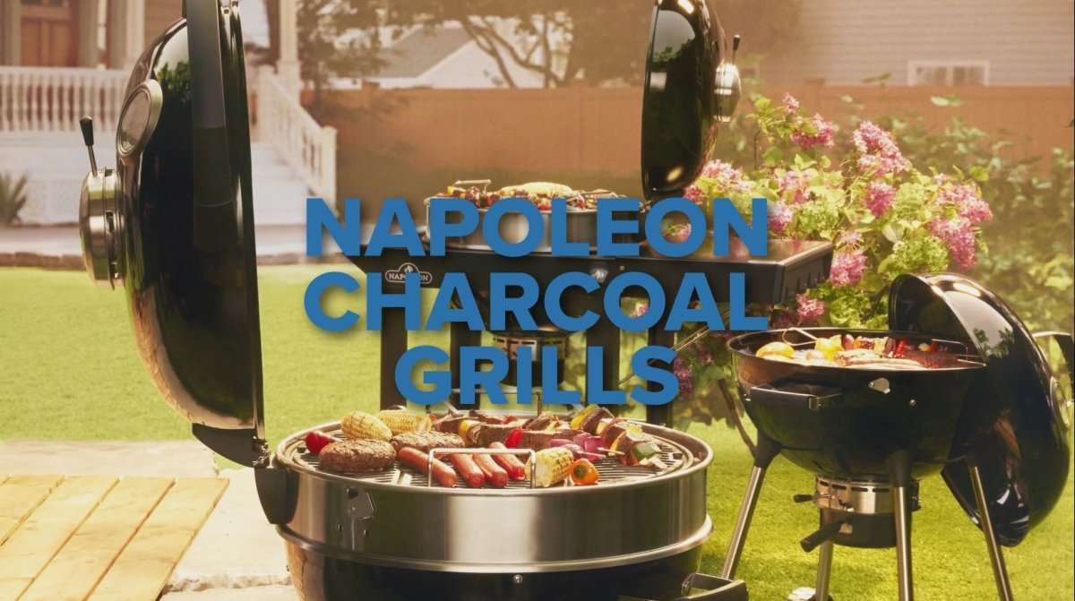 Napoleon Professional 22 Charcoal Kettle with Cart | Charcoal BBQ