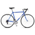 Progear Bikes Racer 700*56cm in Royal Blue - Outdoorium