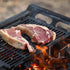 The Ultimate Fire Pit - Outdoorium