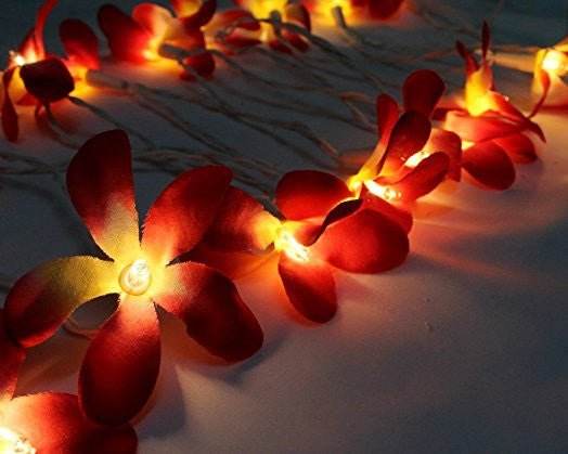 1 Set of 20 LED Deep Red Frangipani Flower Battery String Lights Christmas Gift Home Wedding Party Decoration Outdoor Table Garland Wreath - Outdoorium