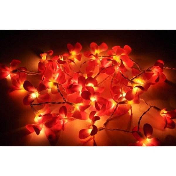 1 Set of 20 LED Deep Red Frangipani Flower Battery String Lights Christmas Gift Home Wedding Party Decoration Outdoor Table Garland Wreath - Outdoorium