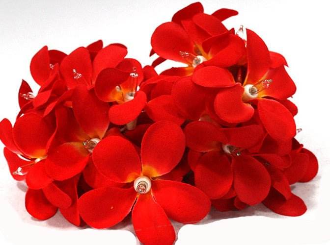 1 Set of 20 LED Deep Red Frangipani Flower Battery String Lights Christmas Gift Home Wedding Party Decoration Outdoor Table Garland Wreath - Outdoorium