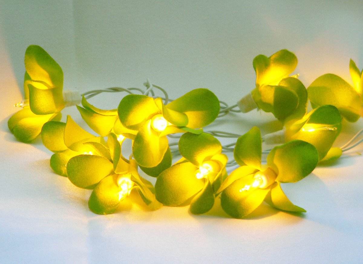 1 Set of 20 LED Green Frangipani Flower Battery String Lights Christmas Gift Home Wedding Party Decoration Outdoor Table Garland Wreath - Outdoorium