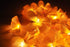 1 Set of 20 LED Orange Frangipani Flower Battery String Lights Christmas Gift Home Wedding Party Decoration Outdoor Table Garland Wreath - Outdoorium