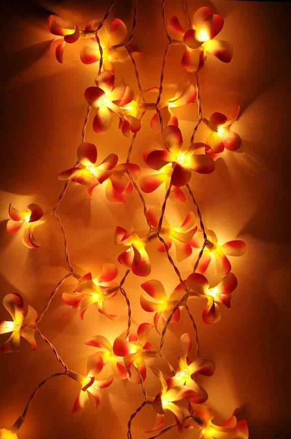 1 Set of 20 LED Orange Frangipani Flower Battery String Lights Christmas Gift Home Wedding Party Decoration Outdoor Table Garland Wreath - Outdoorium