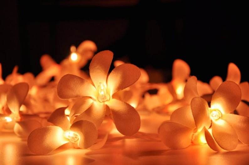 1 Set of 20 LED Orange Frangipani Flower Battery String Lights Christmas Gift Home Wedding Party Decoration Outdoor Table Garland Wreath - Outdoorium