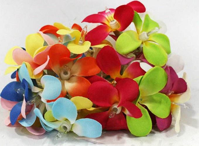 1 Set of 20 LED Tropical Bright Colours Frangipani Flower Battery String Lights Christmas Gift Home Wedding Party Decoration Outdoor Table Centrepiece - Outdoorium