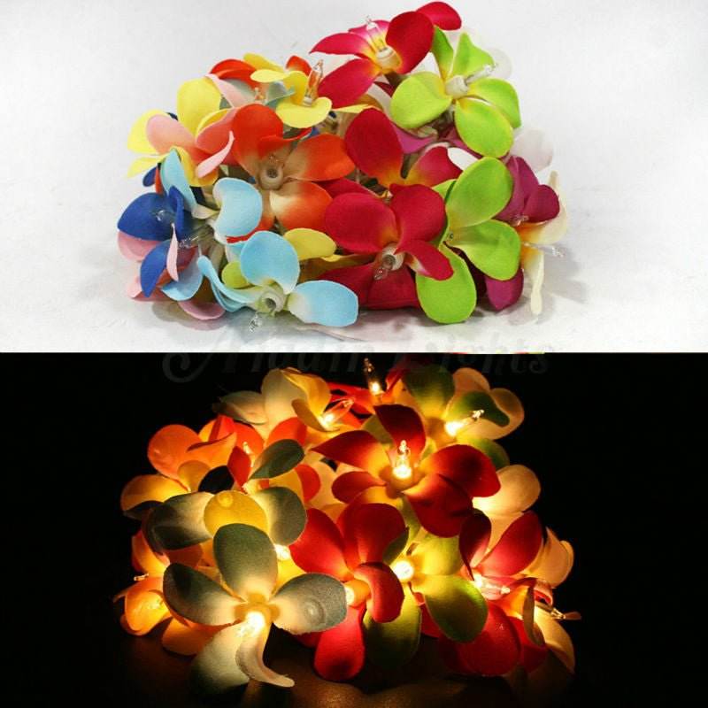 1 Set of 20 LED Tropical Bright Colours Frangipani Flower Battery String Lights Christmas Gift Home Wedding Party Decoration Outdoor Table Centrepiece - Outdoorium