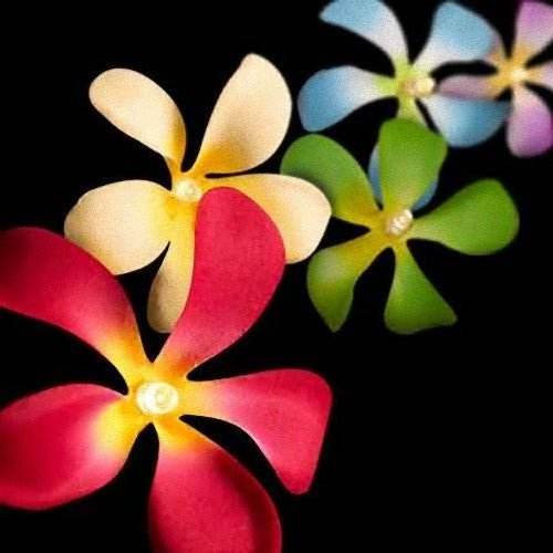 1 Set of 20 LED Tropical Bright Colours Frangipani Flower Battery String Lights Christmas Gift Home Wedding Party Decoration Outdoor Table Centrepiece - Outdoorium
