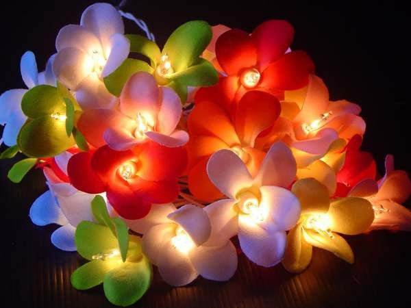 1 Set of 20 LED Tropical Bright Colours Frangipani Flower Battery String Lights Christmas Gift Home Wedding Party Decoration Outdoor Table Centrepiece - Outdoorium