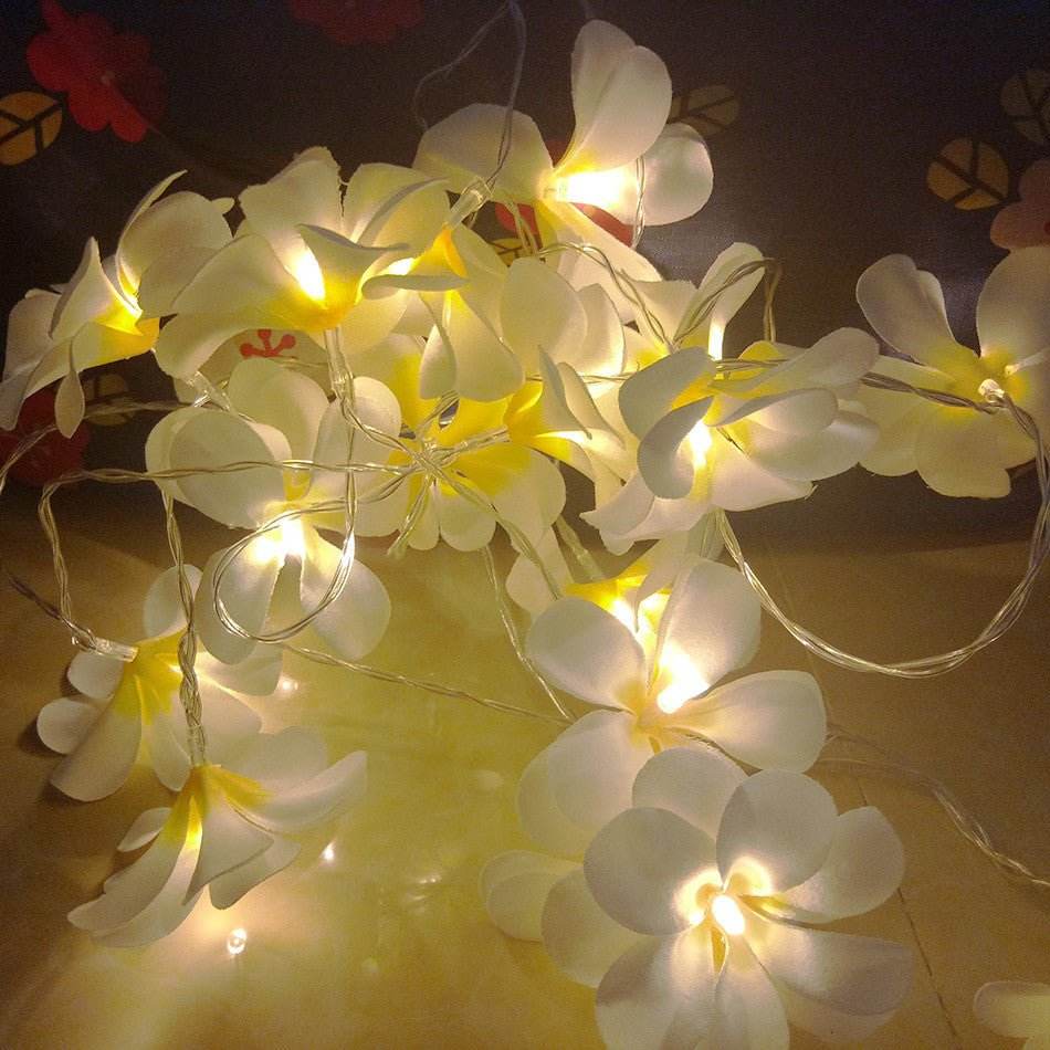 1 Set of 20 LED White Frangipani Flower Battery String Lights Christmas Gift Home Wedding Beach Party Decoration Outdoor Table Centrepiece - Outdoorium