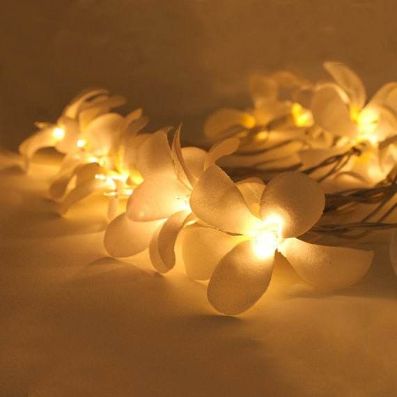 1 Set of 20 LED White Frangipani Flower Battery String Lights Christmas Gift Home Wedding Beach Party Decoration Outdoor Table Centrepiece - Outdoorium