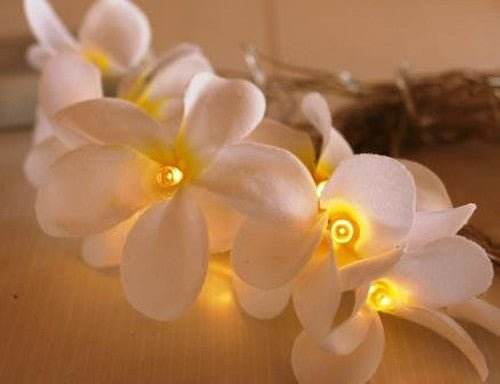 1 Set of 20 LED White Frangipani Flower Battery String Lights Christmas Gift Home Wedding Beach Party Decoration Outdoor Table Centrepiece - Outdoorium