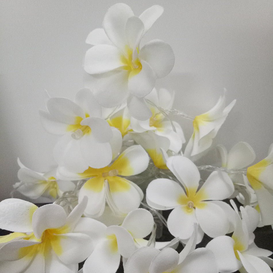 Set of 20 LED White Frangipani Flower String Lights - Ideal for Christmas, Wedding, Party &amp; Outdoor Decorations - Outdoorium