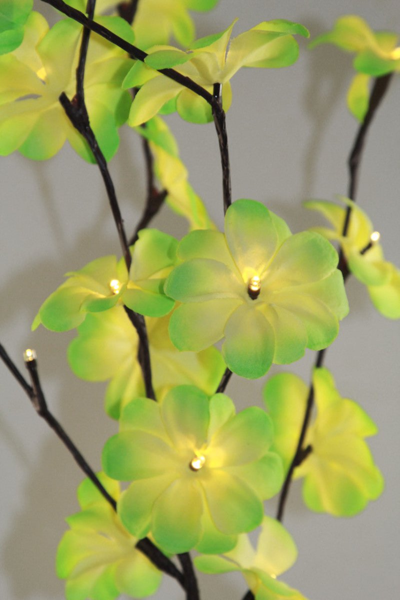 Set of 20 LED Green Frangipani Tree Branch Fairy Lights - Perfect for Wedding, Party, Table Decoration - Outdoorium