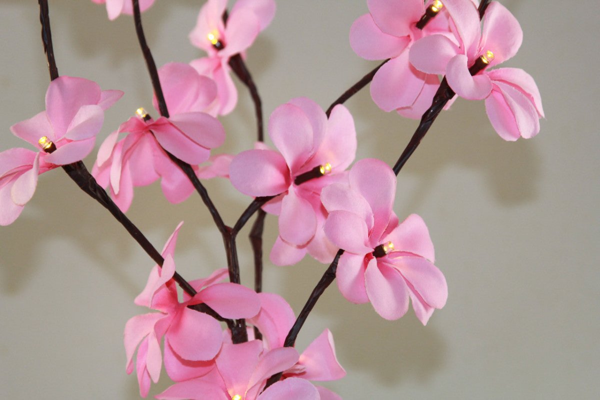 Set of 50cm H 20 LED Pink Frangipani Tree Branch Fairy Lights - Ideal for Wedding, Party, Table Decoration - Outdoorium